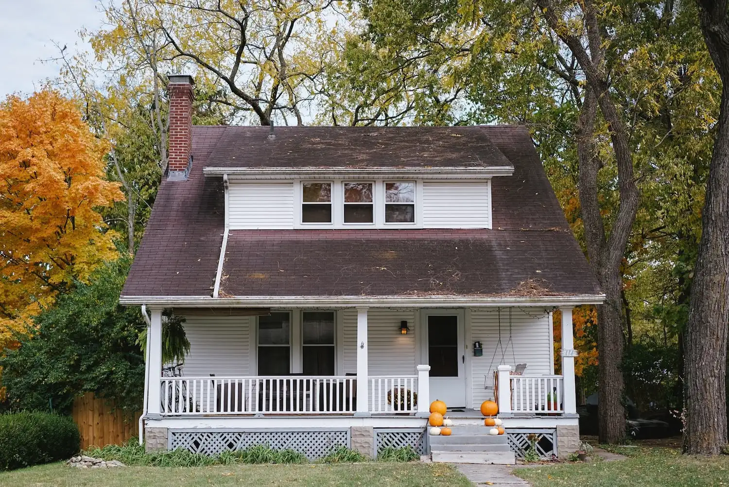 Main Home